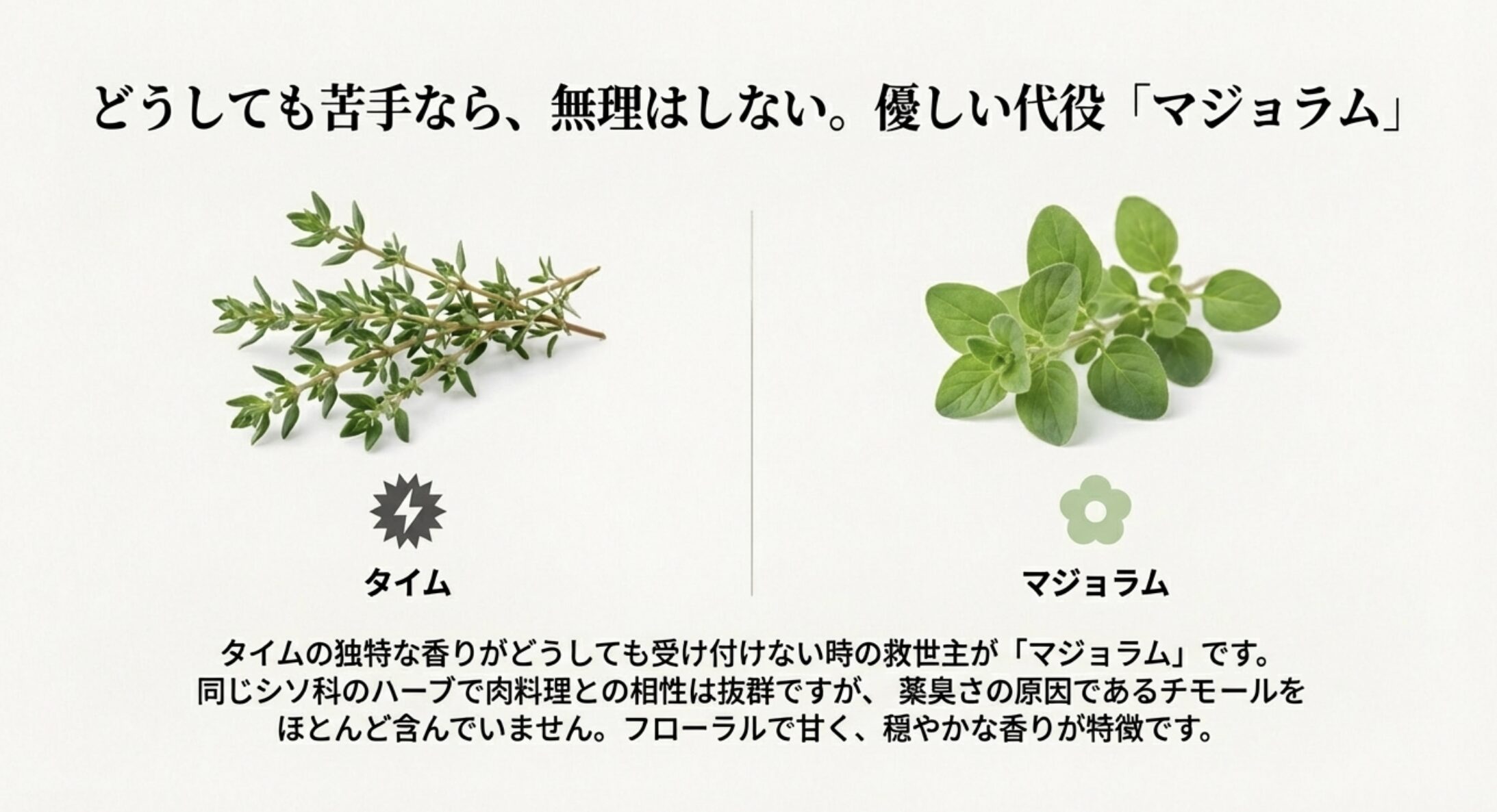 タイムと見た目は似ているが薬品臭が少なく、甘く穏やかな香りが特徴のマジョラムの紹介