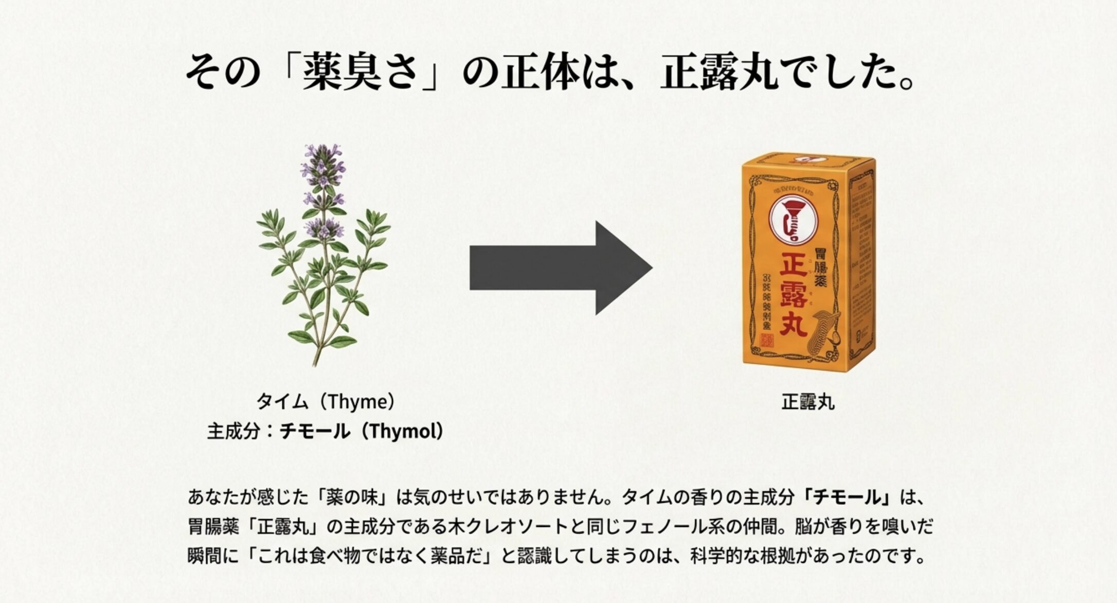 タイムの主成分チモールと正露丸の主成分木クレオソートが同じフェノール系であることを示す図解