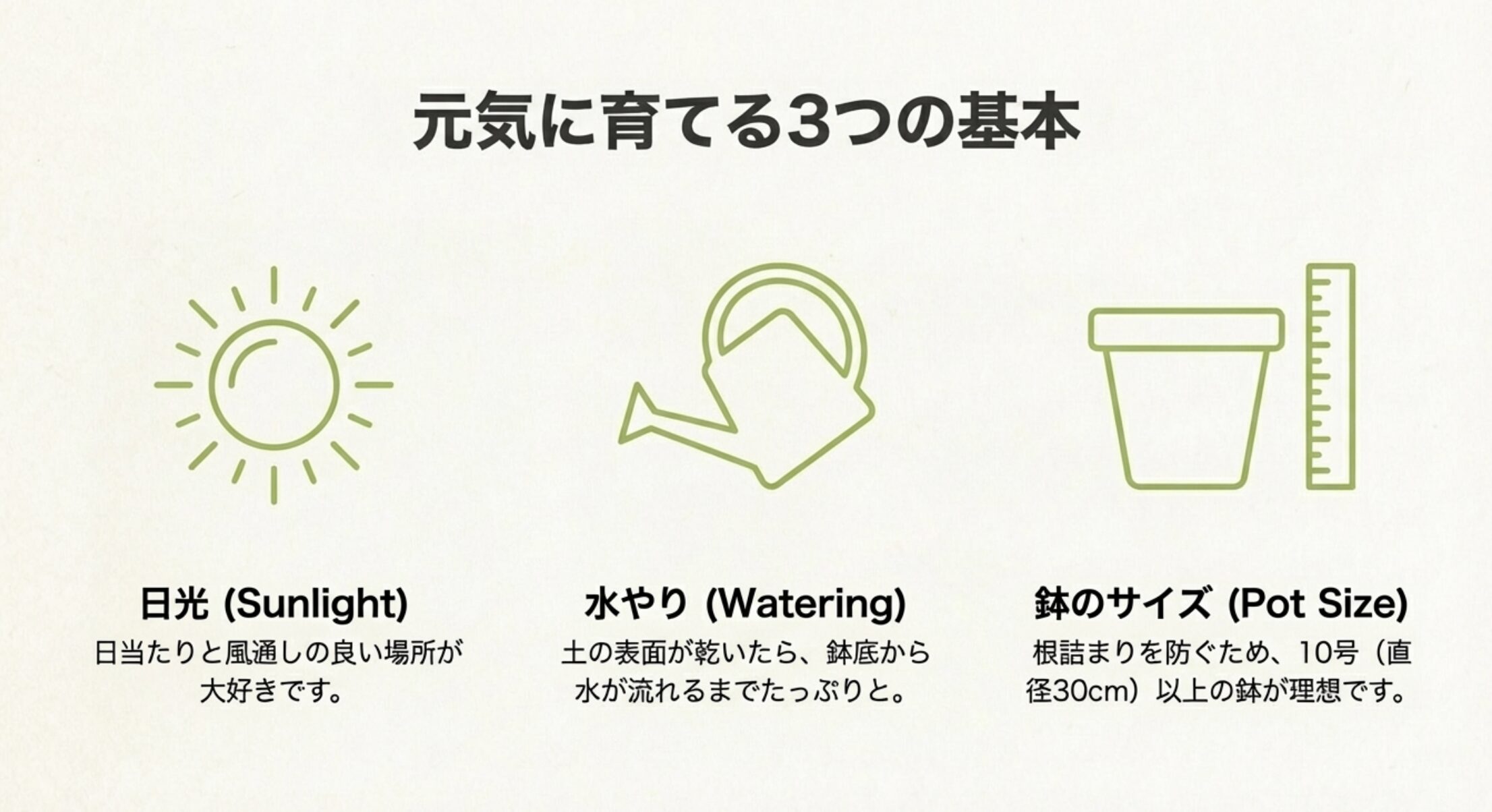 日当たり、乾いたらたっぷりの水やり、根詰まりを防ぐ10号以上の鉢サイズについての解説図。