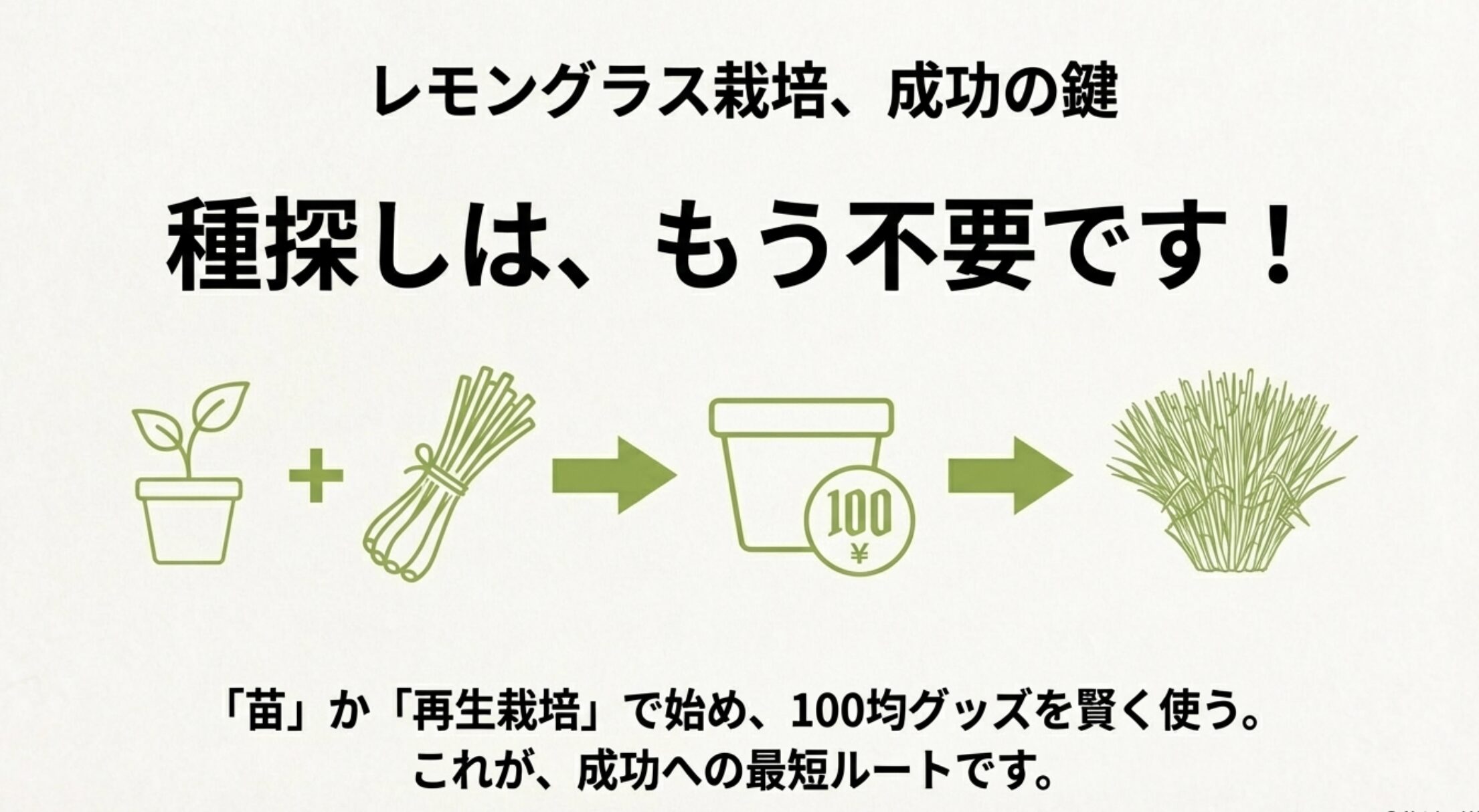 種探しは不要、苗や再生栽培から始めて100均グッズを賢く使う成功法則のまとめイラスト。