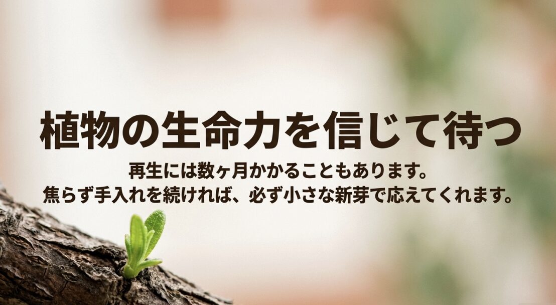 再生には数ヶ月かかることもあるが、焦らず手入れを続ければ新芽が出ることを伝えるメッセージスライド 。